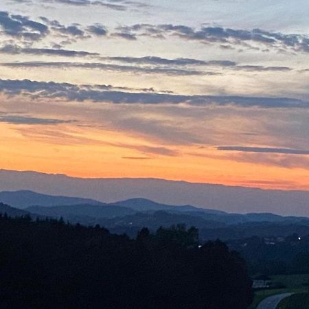 Fh Ausblick Villa Waldkirchen Eksteriør billede