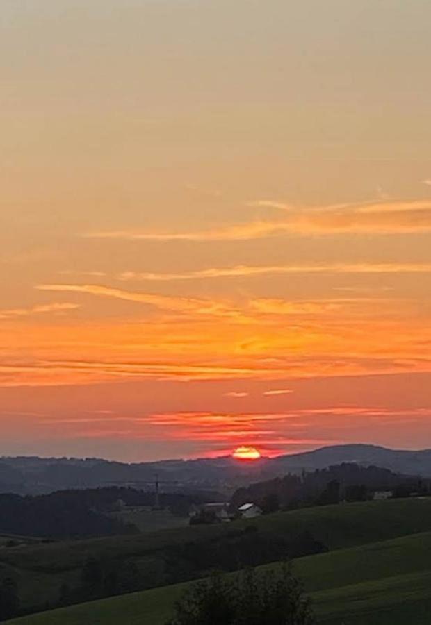 Fh Ausblick Villa Waldkirchen Eksteriør billede